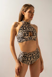 Sharkpolewear High-waisted Shorts - Leopard